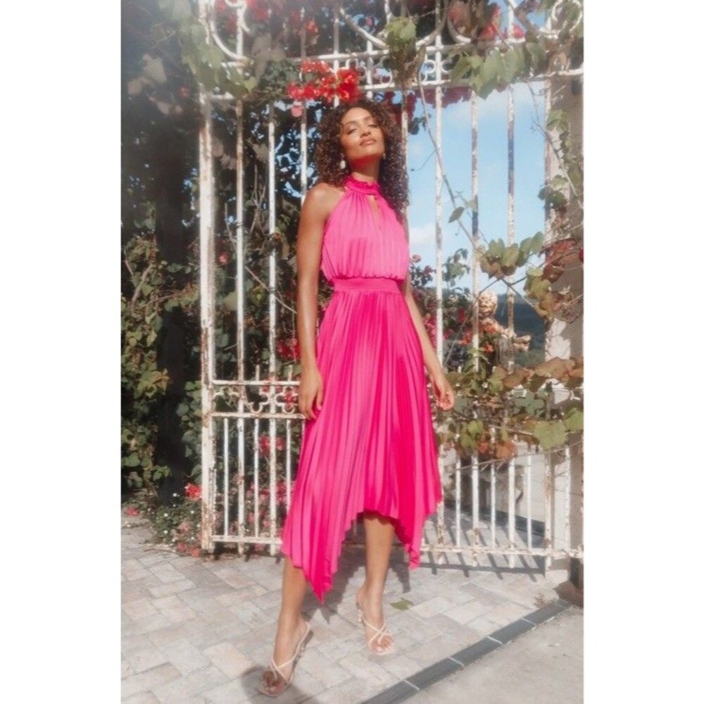 NWT Petal & Pup Dominique Pleated Sleeveless Maxi Dress Pink Halter US 4